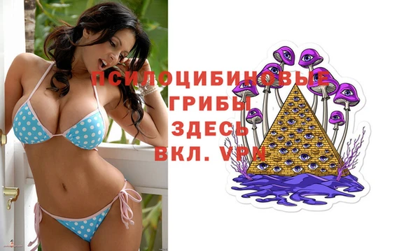 мдма Бородино