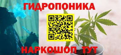 молекула духа Ливны