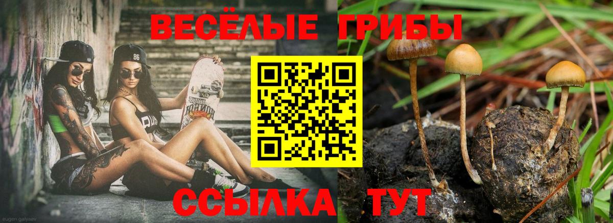 Псилоцибиновые грибы Magic Shrooms  Вход с VPN  Усть-Джегута  Псилоцибиновые грибы ЛСД 